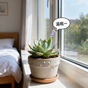 梦见自己能听懂植物说话咋解析