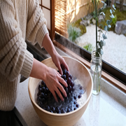 解析图片生成 (4).png