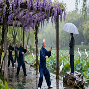 解析图片生成 (8).png