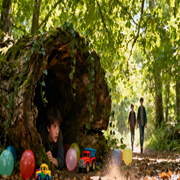 解析图片生成.png 解析图片生成.png