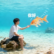 梦见自己能和鱼儿交流咋解析